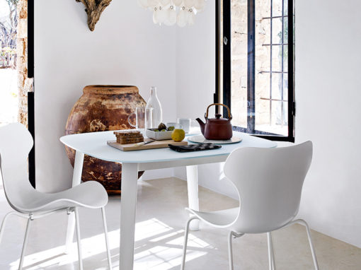 Papilio outdoor