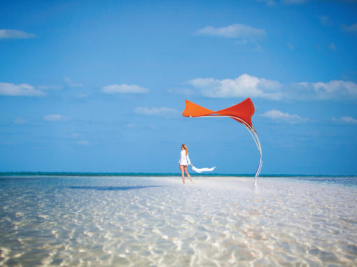 Shade Sculpture – Stingray